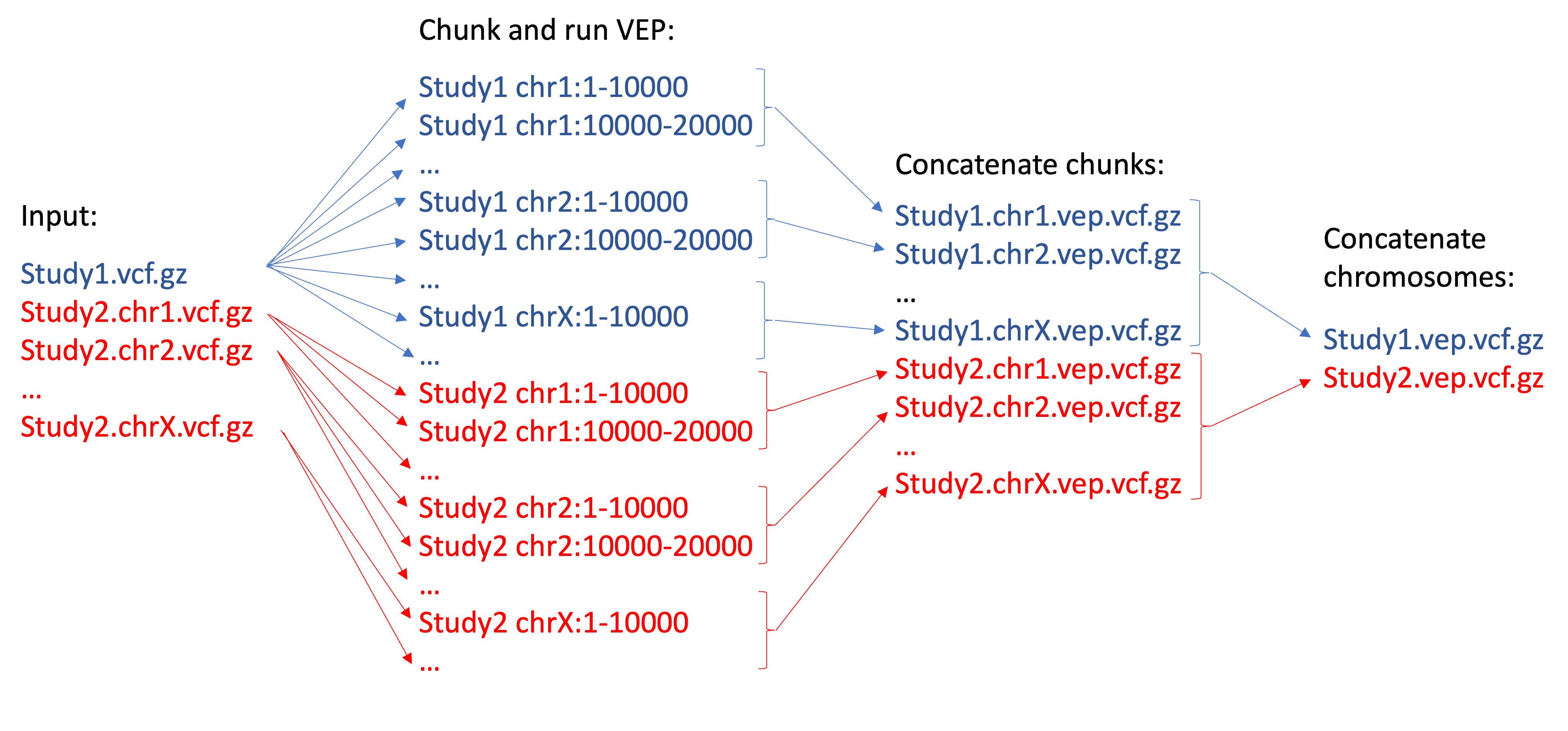 Execution diagram