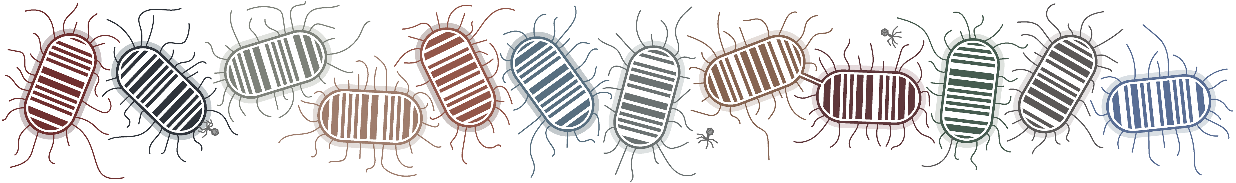 Bacterial genome assemblies with multiplex-MinION sequencing