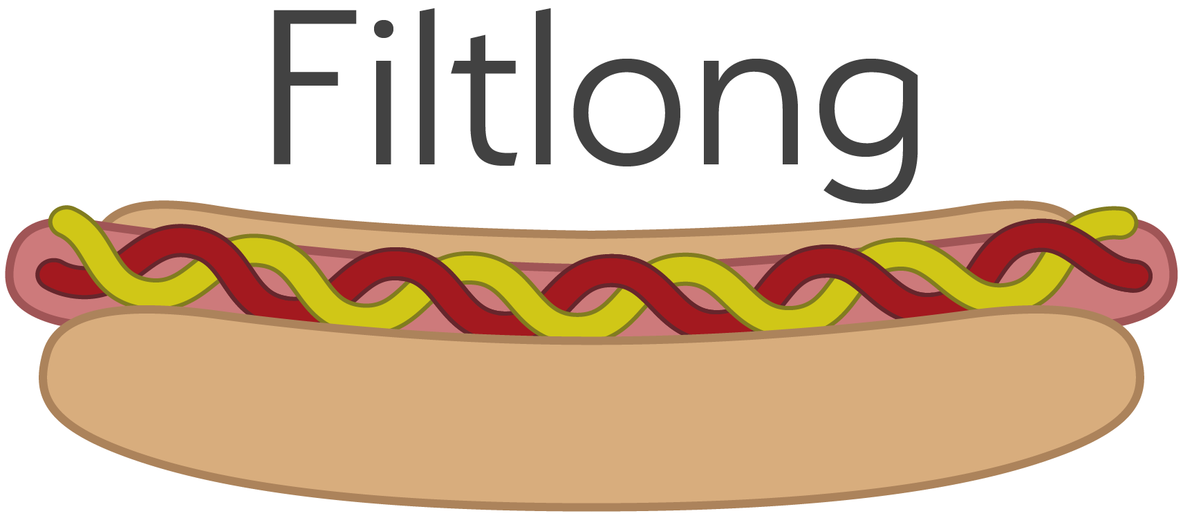 Filtlong