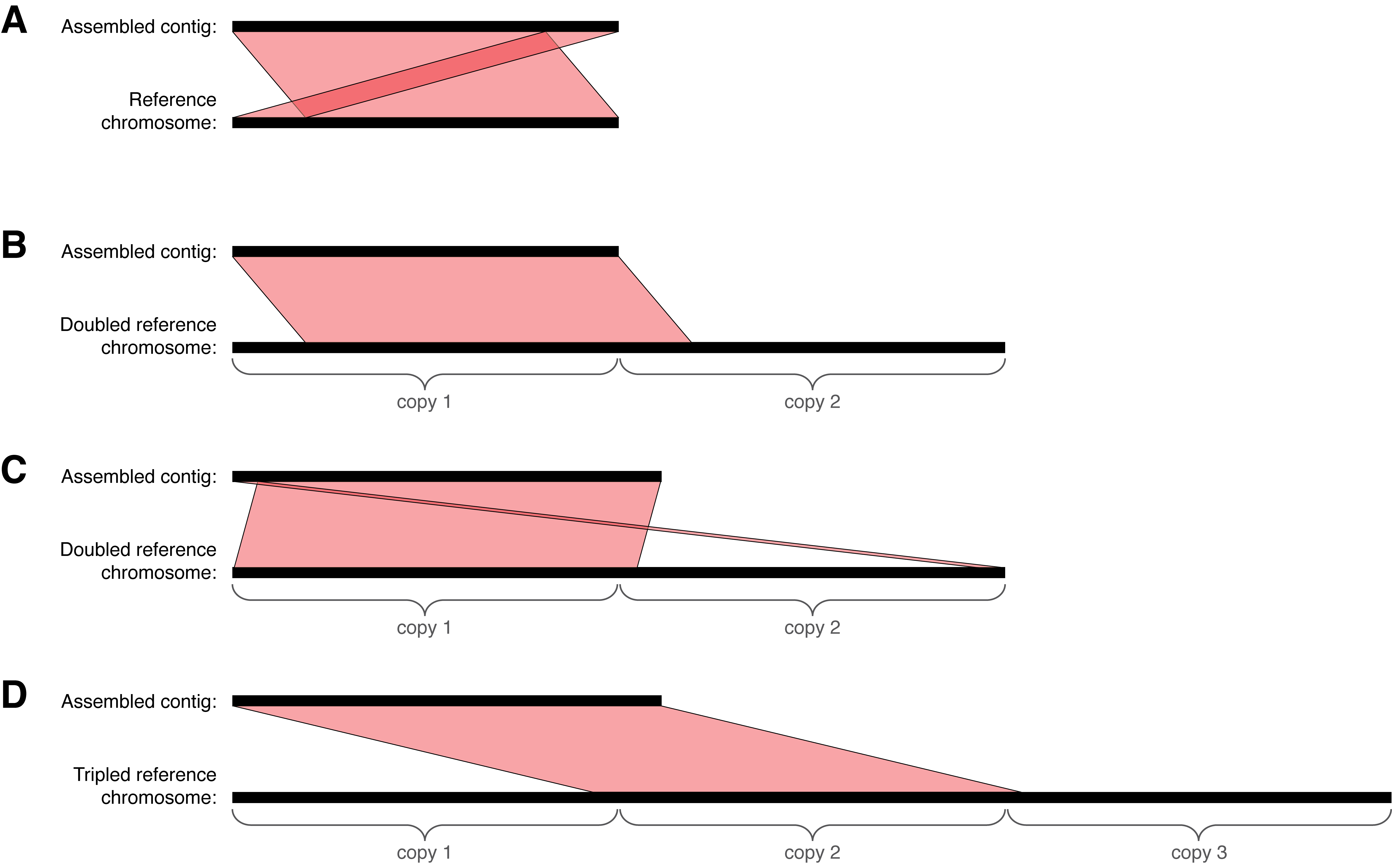 Figure S6