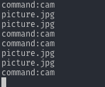 Console of malware with cam command assigned