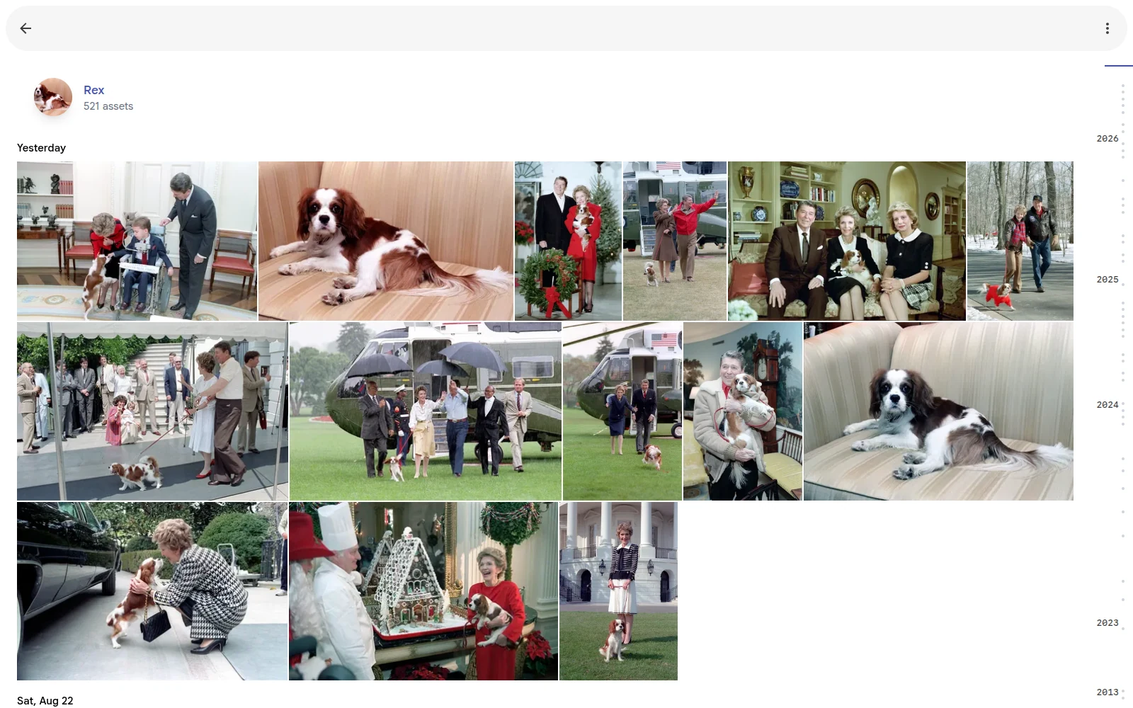 An Immich person page titled Rex, 521 assets, showing a grid of photographs of a Cavalier King Charles Spaniel.