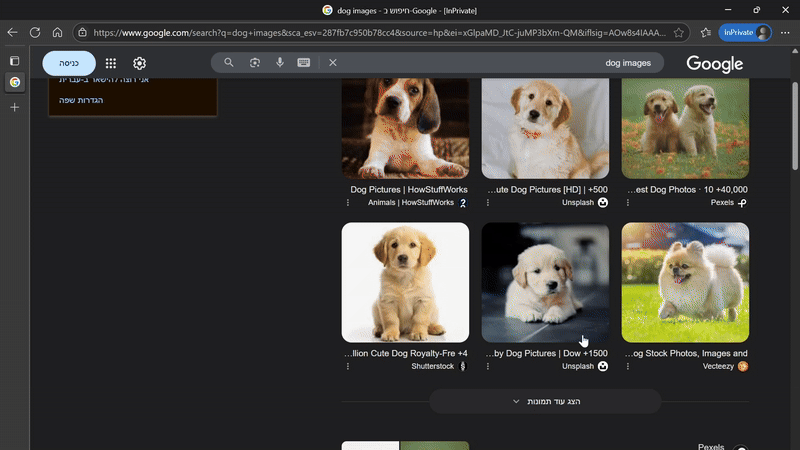 MCP Windows Screenshots Demo