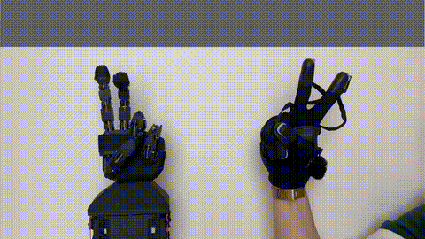 ruka-hand/RUKA cover