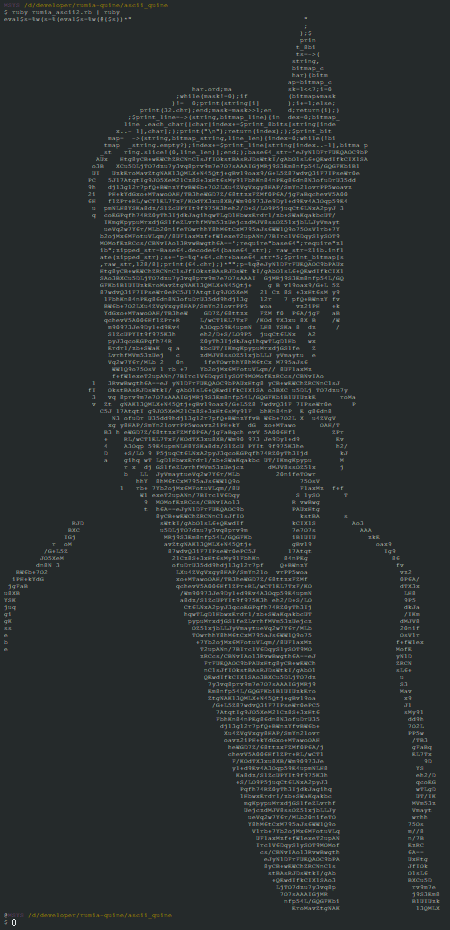 Screenshot of the output of rumia_ascii.rb