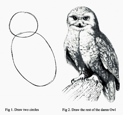 Draw the rest of the owl