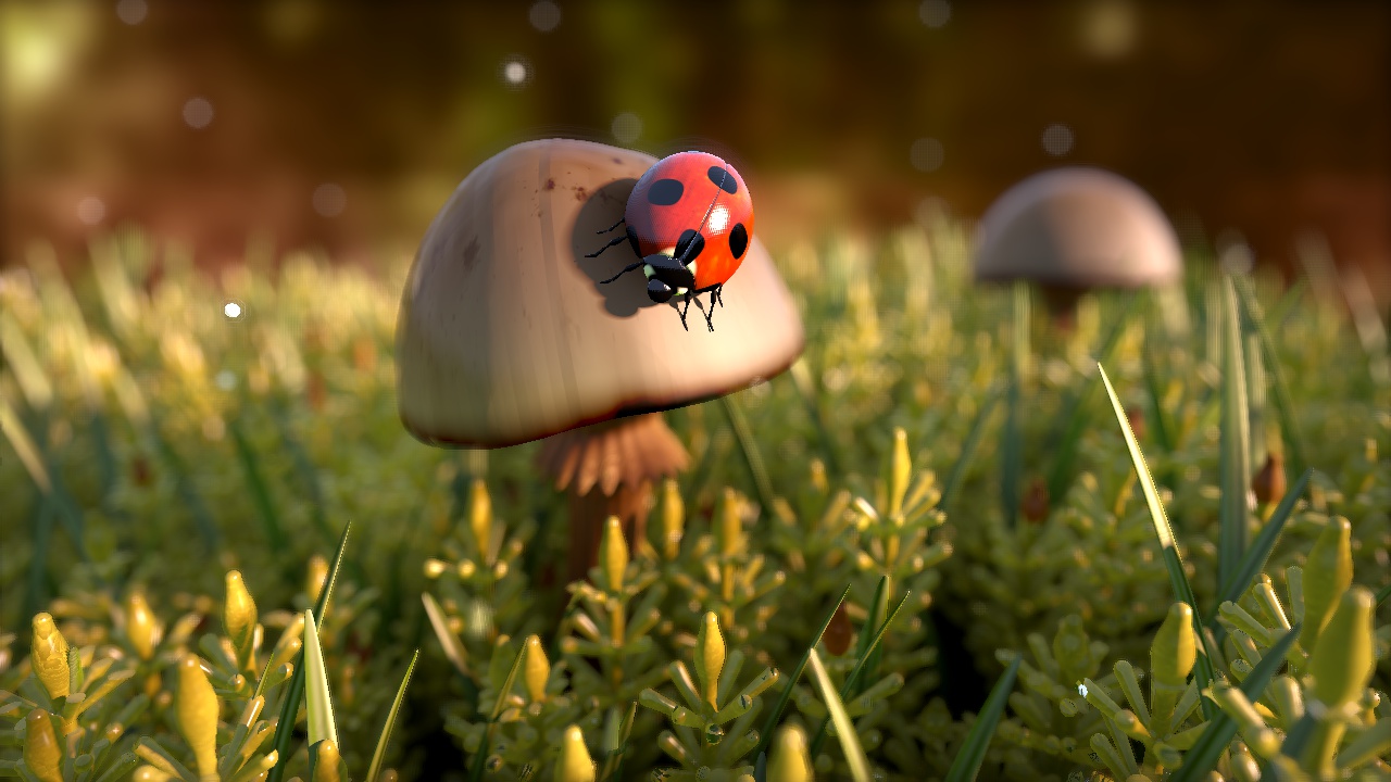 LadyBug