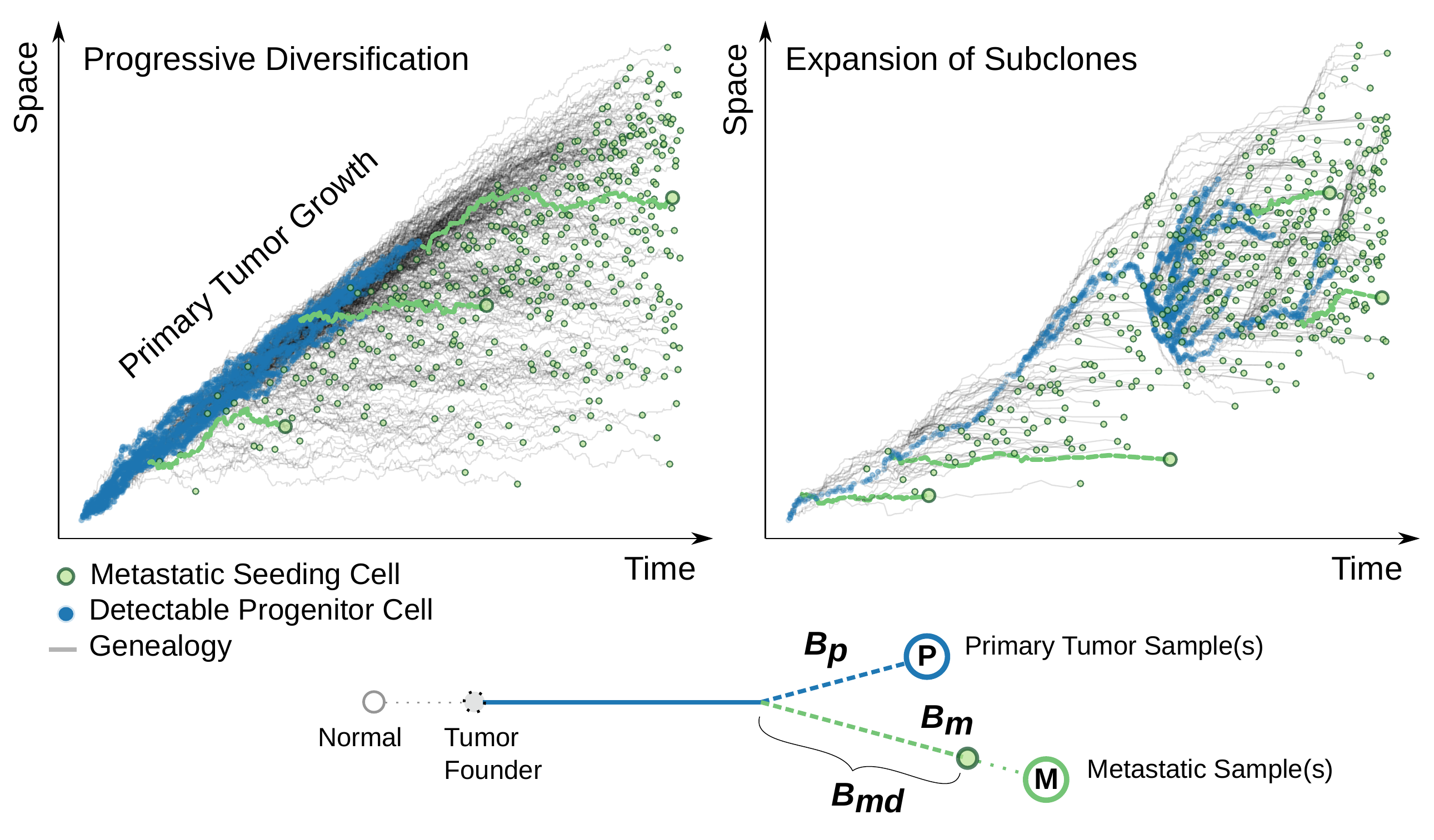 Modeling the between-tumor genomic divergence
