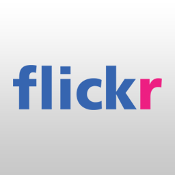 flickr gallery plugin for website