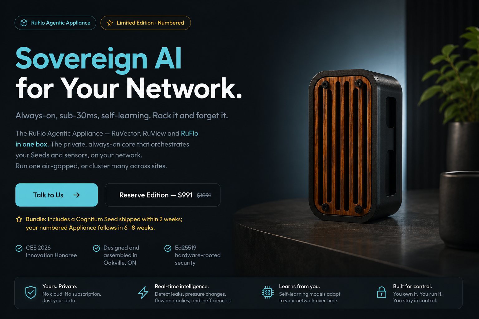 RuFlo Agentic Appliance
