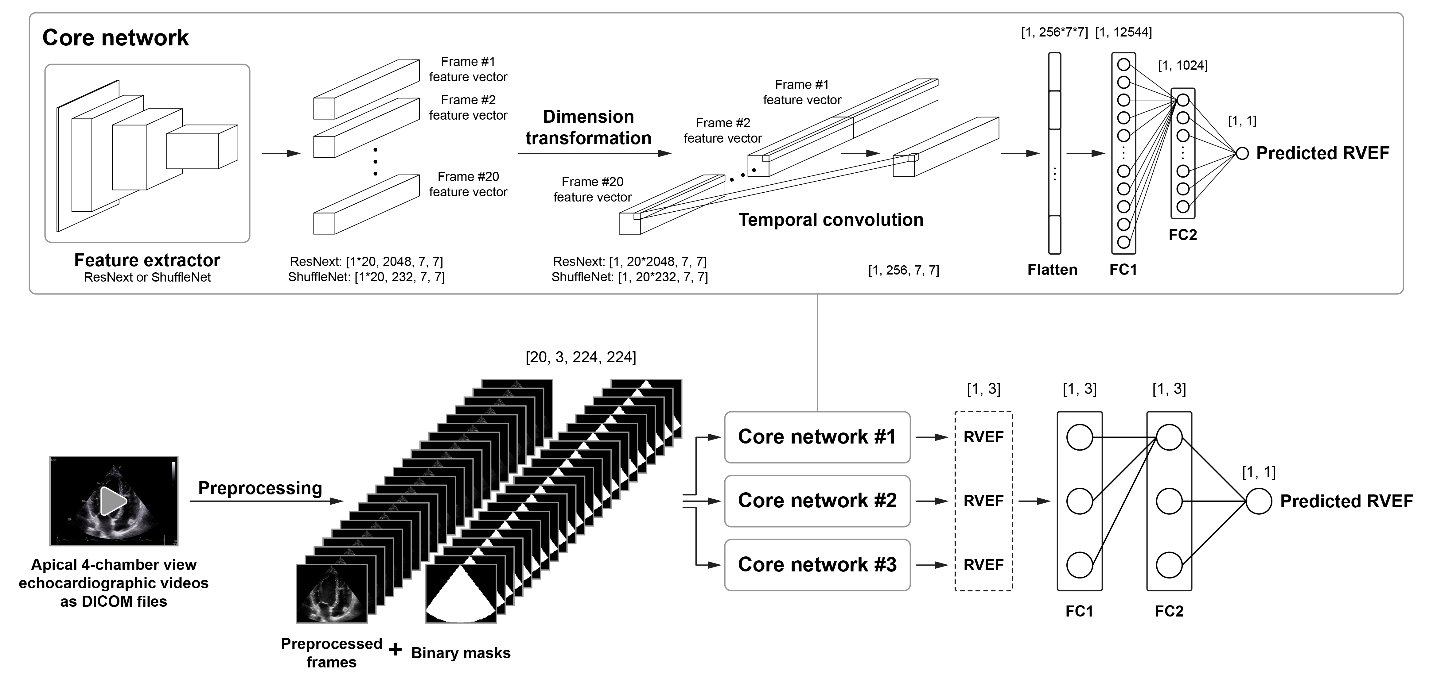 Schematic illustration of the network architecture