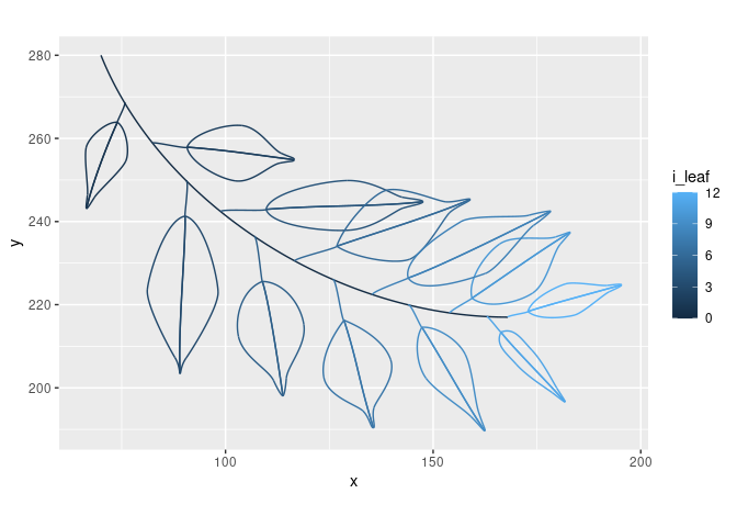 A branch of generated leaves, each of varying size and shape.