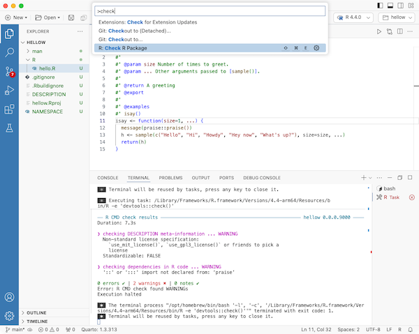 R package development in Positron