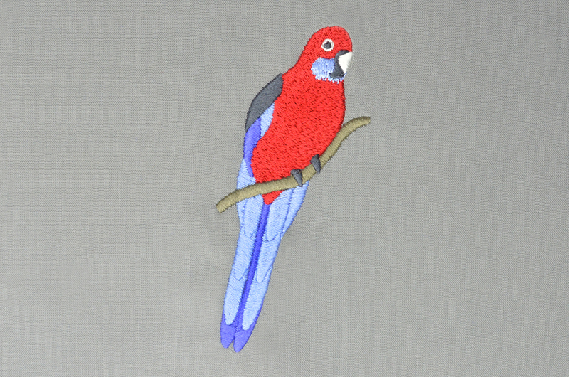 Crimson Rosella free embroidery design