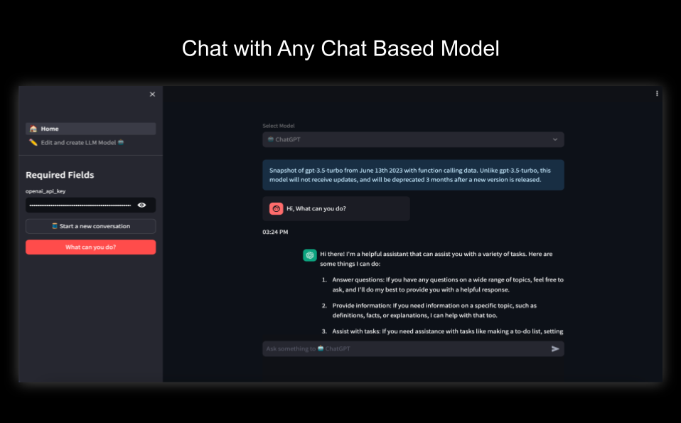 Chat with the model