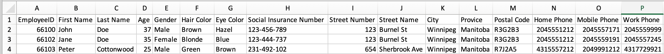 Unstructured Data Set