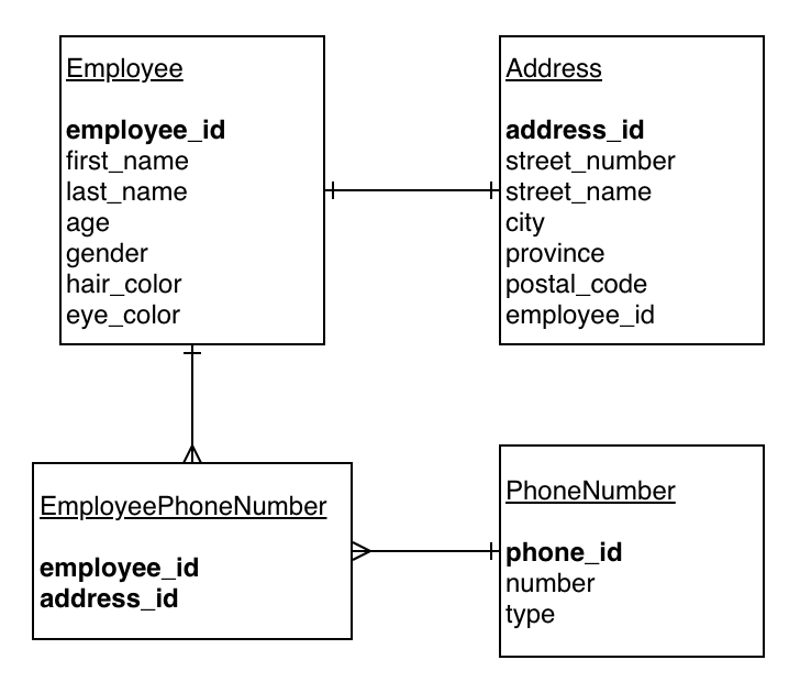 erd-example