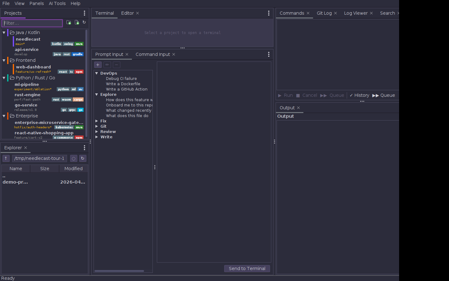 needlecast main window