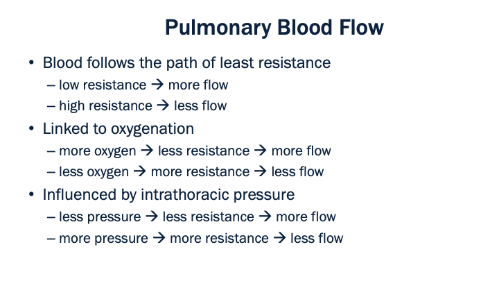 06_Pulmonary_Blood_Flow