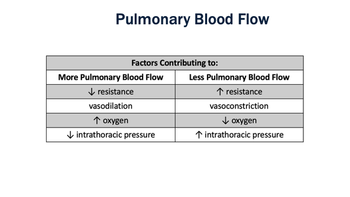 07_Pulmonary_Blood_Flow