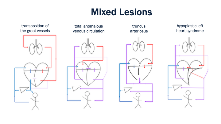 16_Mixed_Lesions