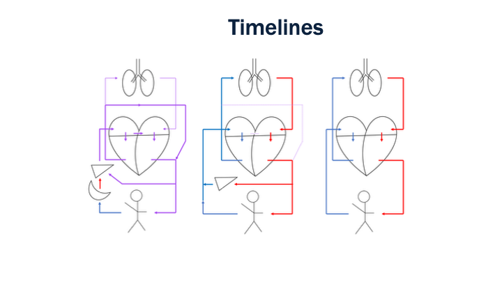20_Timelines