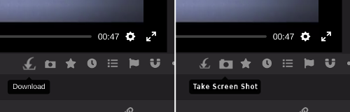 Download-Screenshot Icons