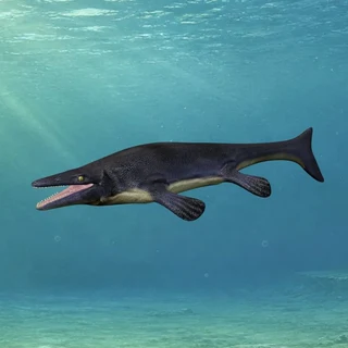 s010s/prehistoric-animal-museum cover