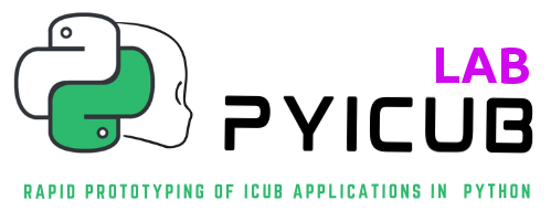 PYICUB logo