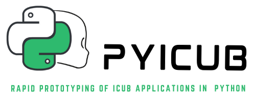 PYICUB logo