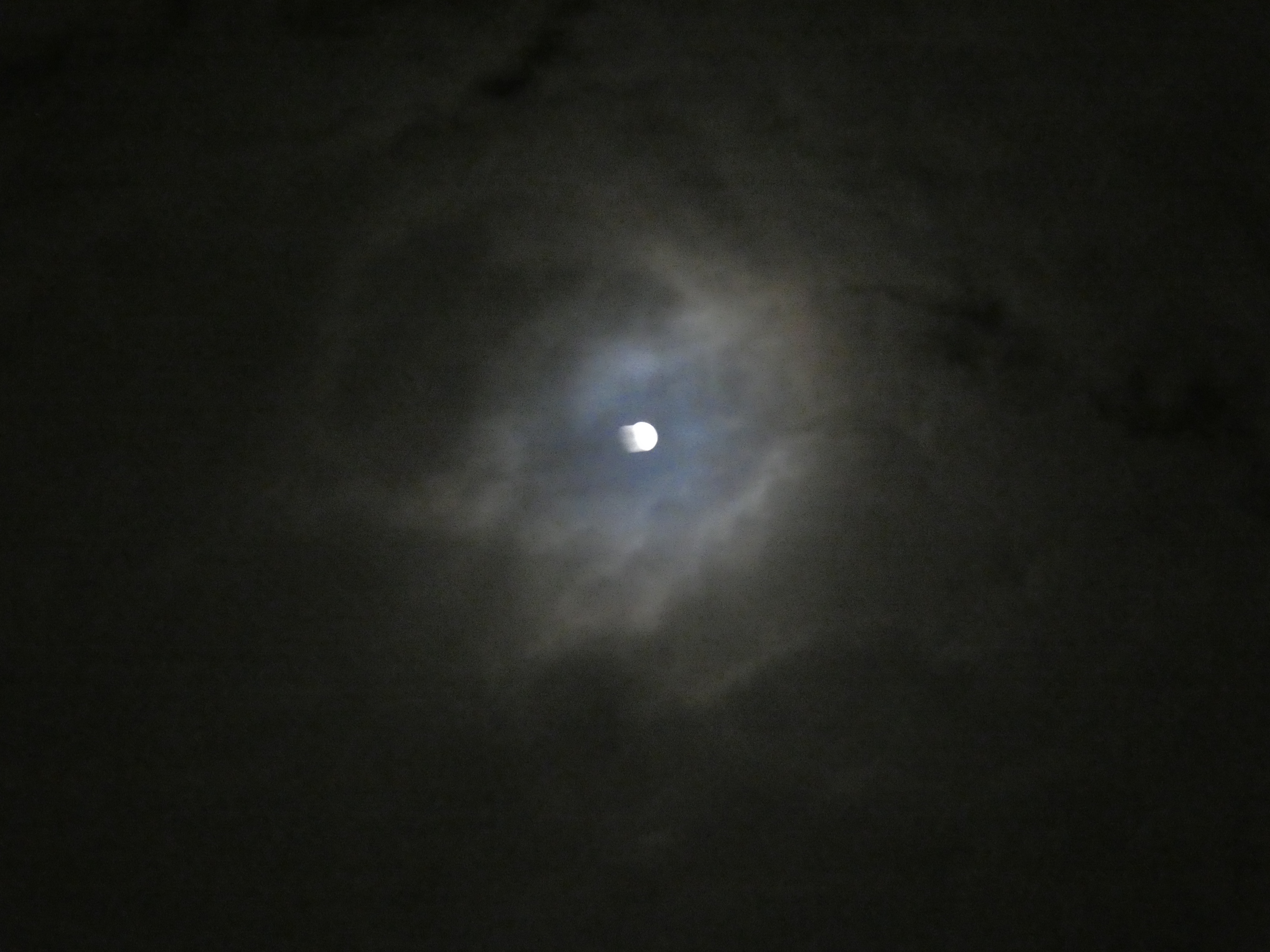P1040710_moonlight.JPG