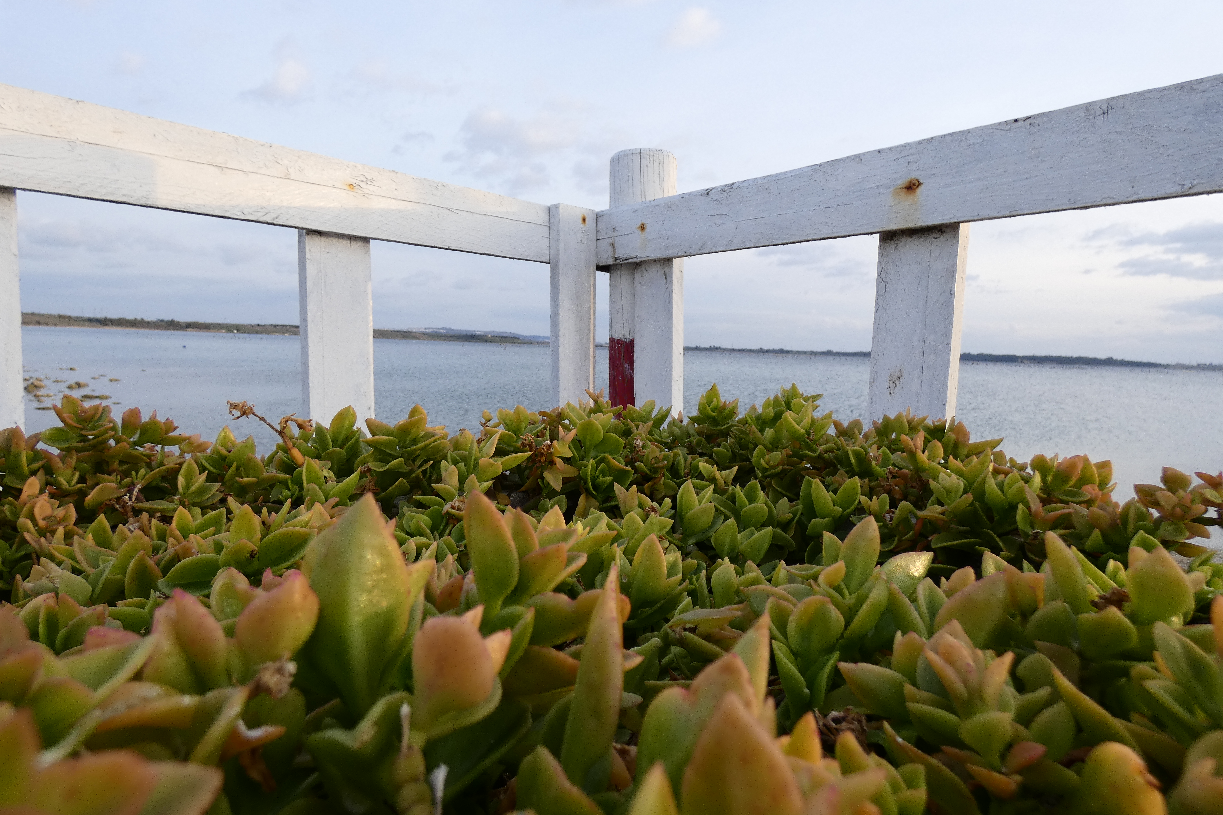 _1210361_sea_fence_2.JPG