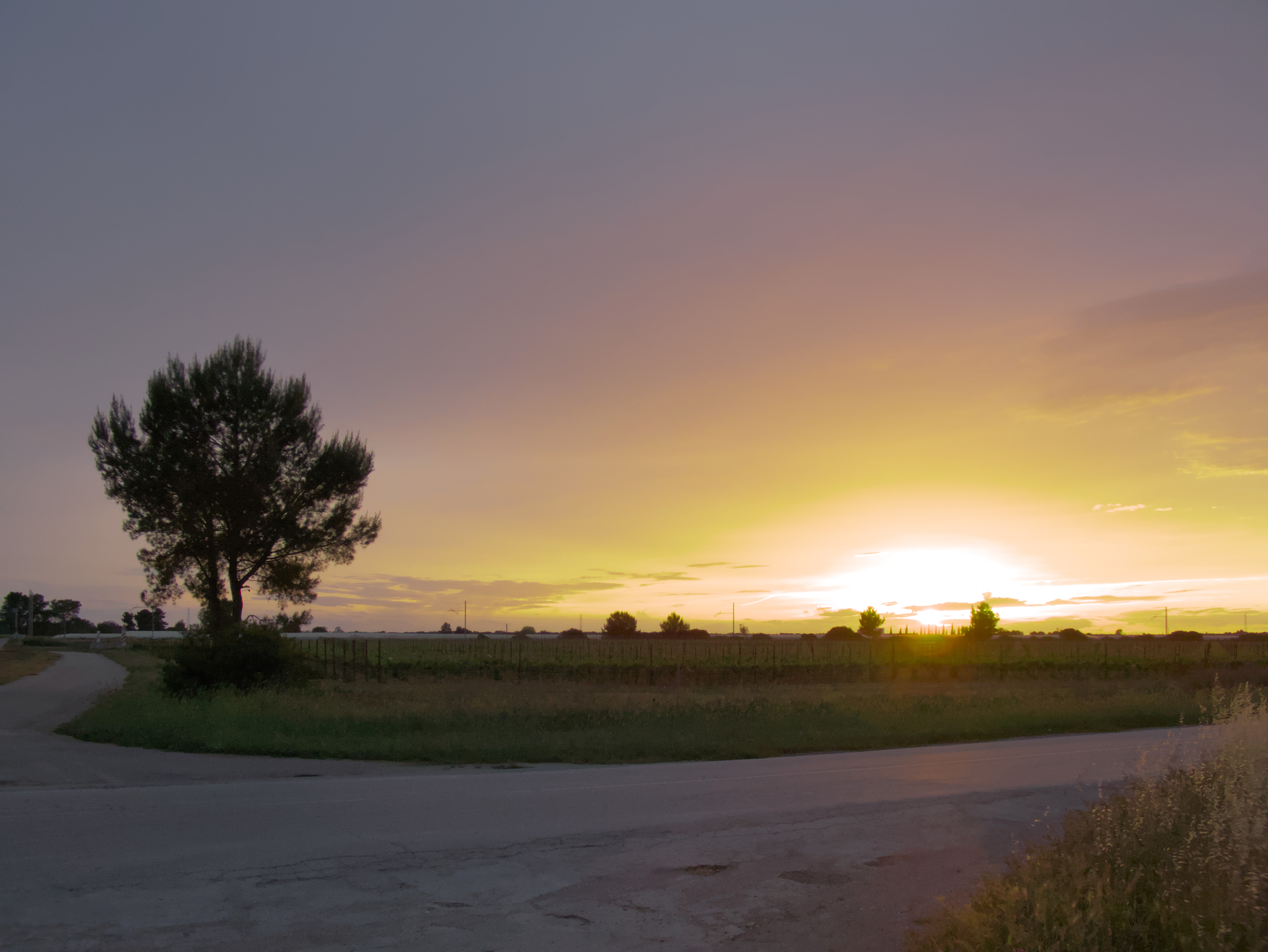 P1240773_road_sunset.jpg