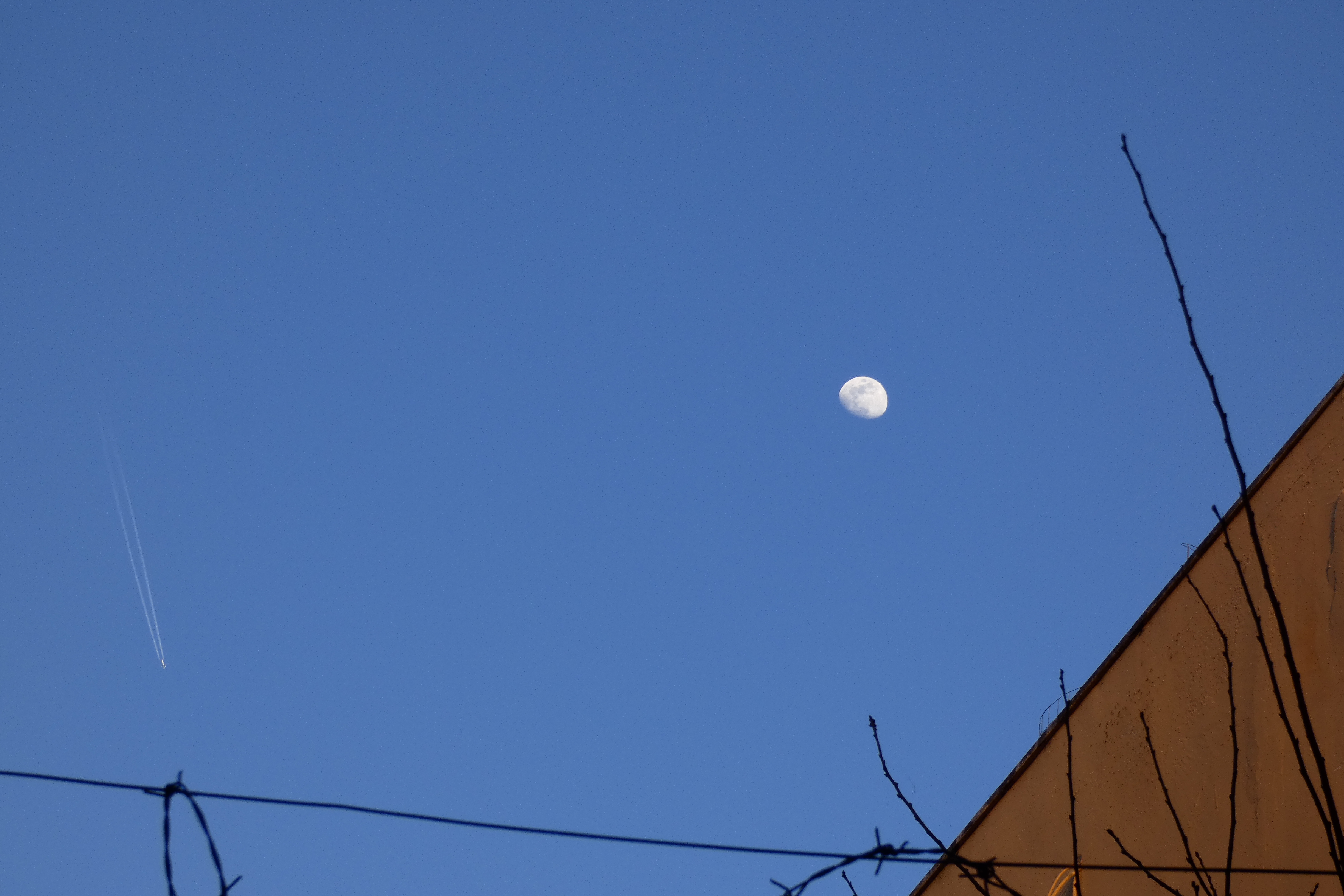_1260726_moonrise.JPG