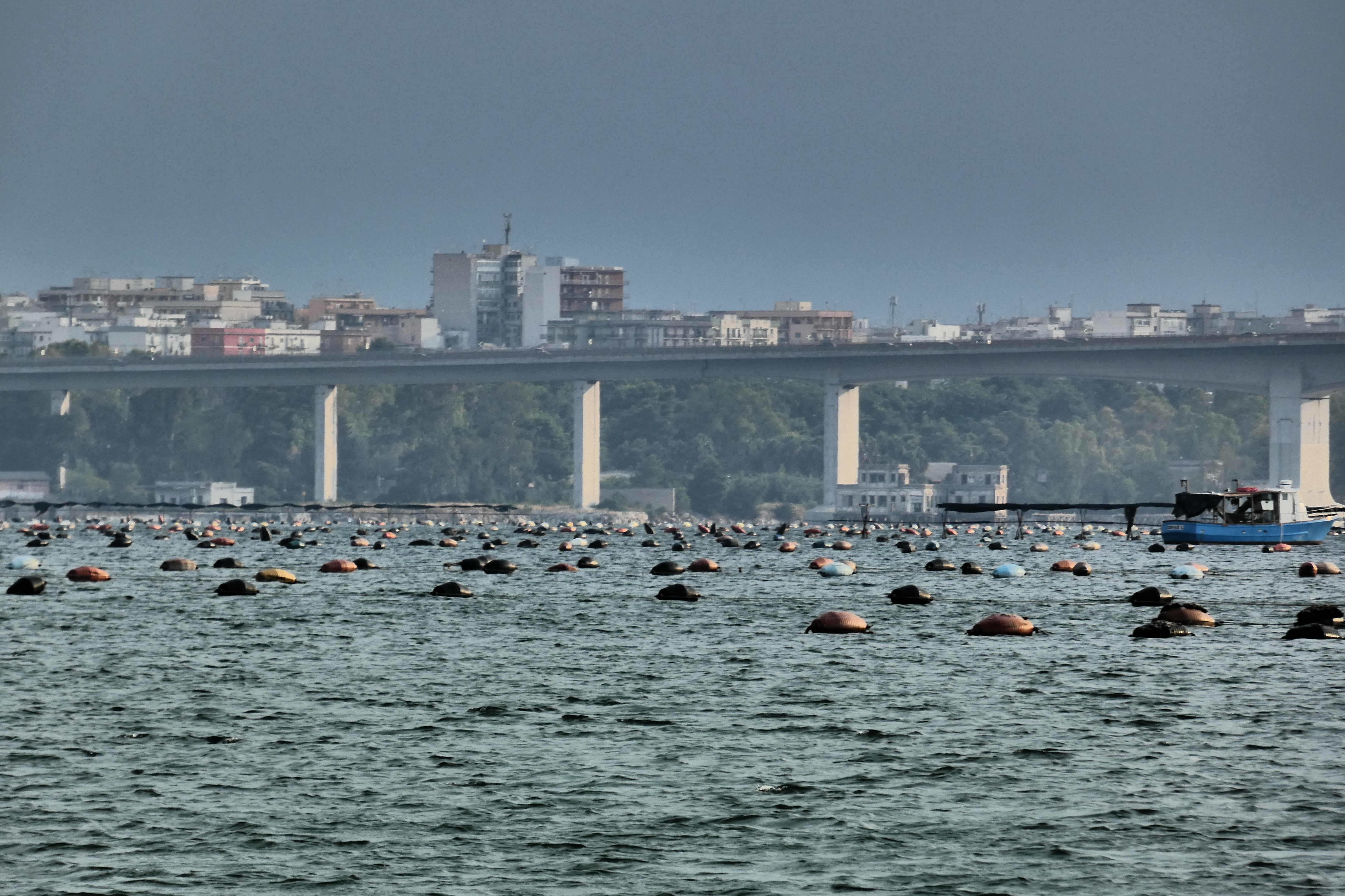 P1300961_ppp.JPG