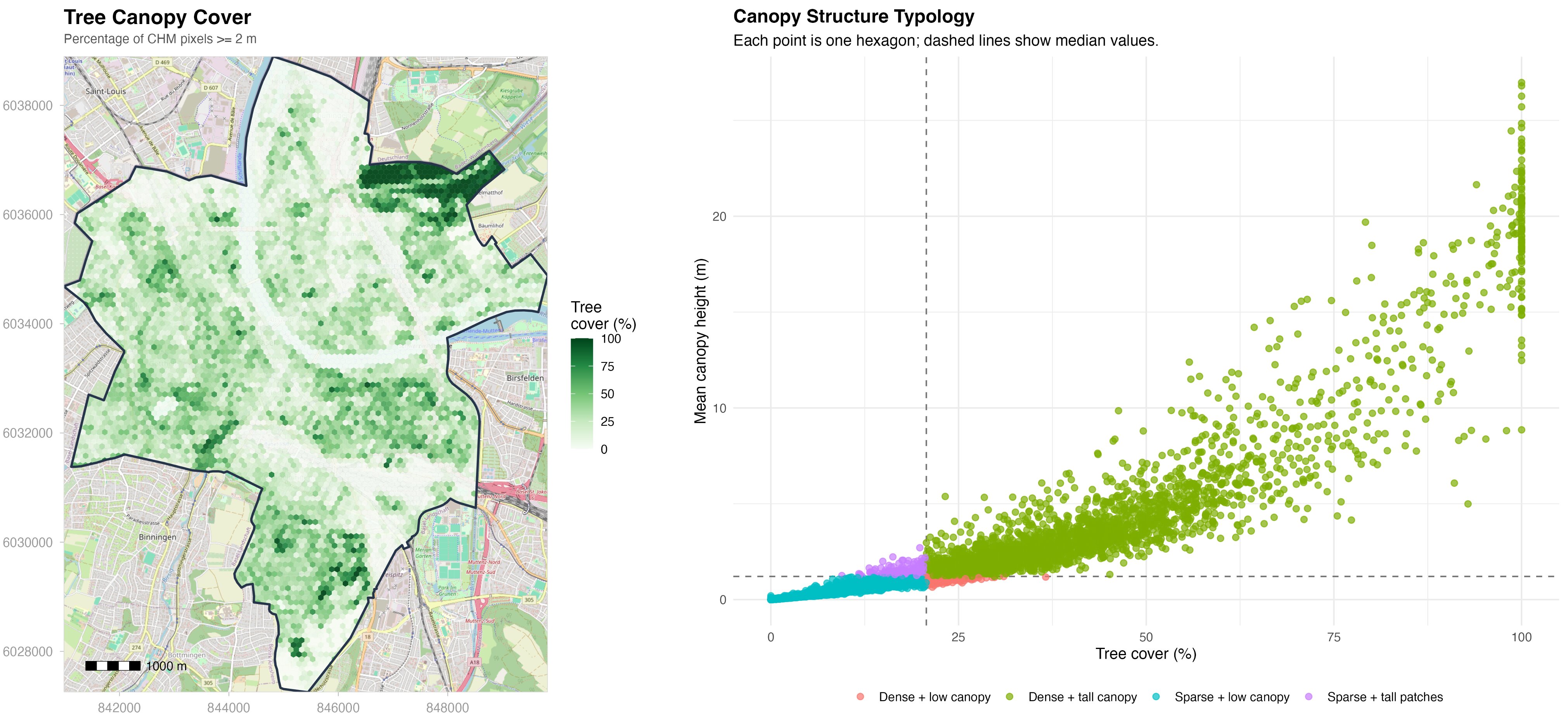 Canopy Height Model