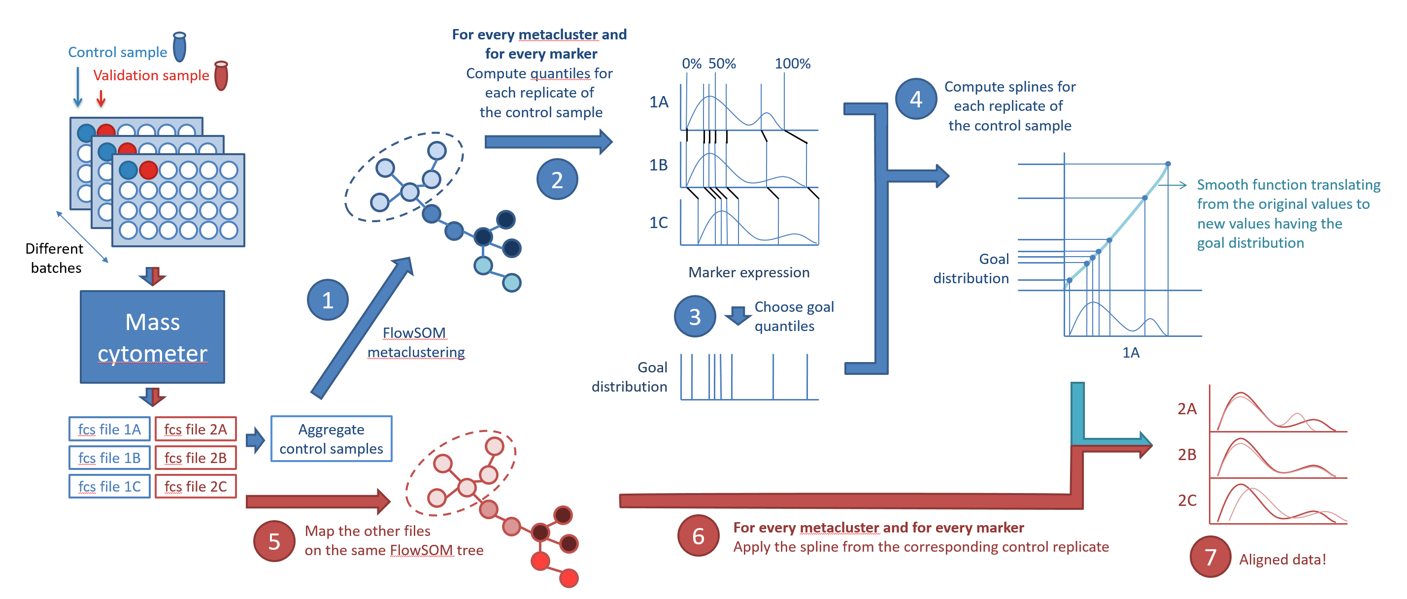 Schematic overview of the algorithm