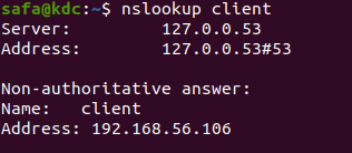 nslookup