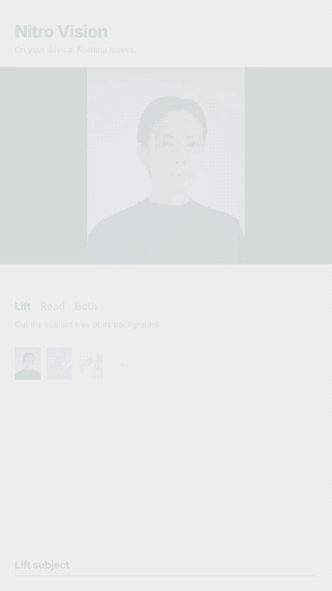 assets/demo.gif