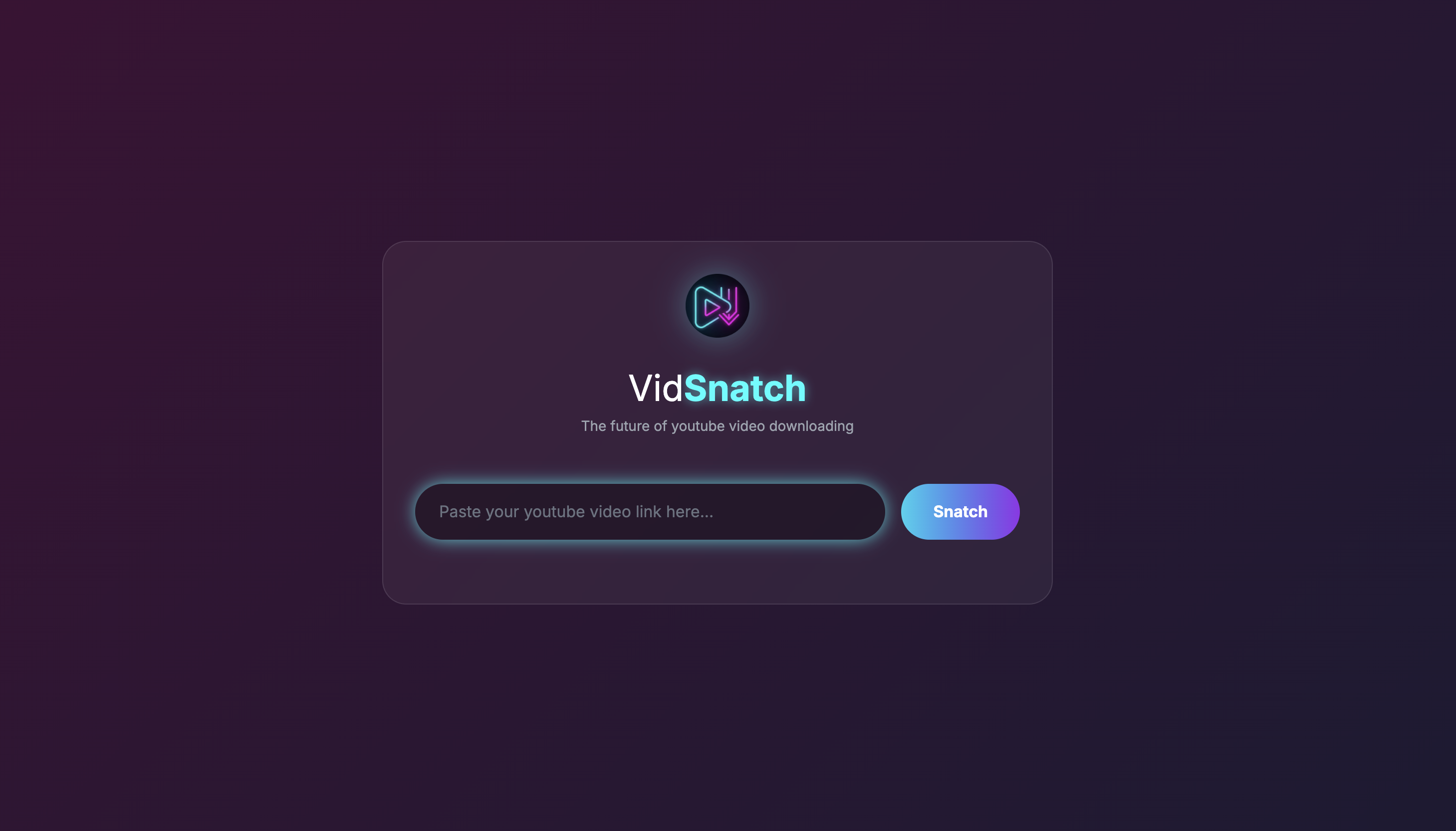 VidSnatch Web Interface