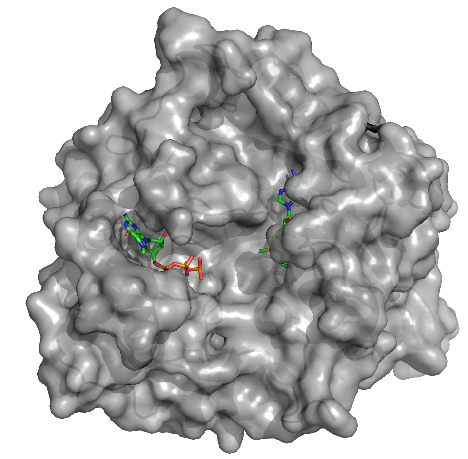 pymol