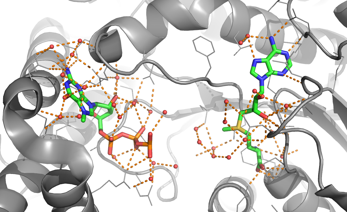 pymol