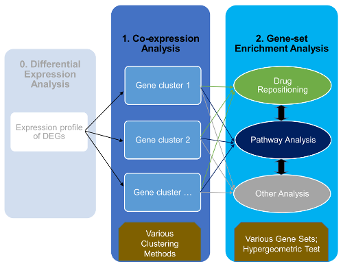 cogena_workflow