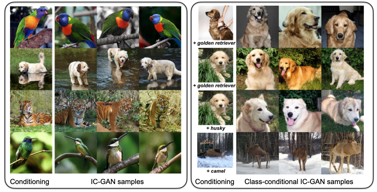 IC-GAN results