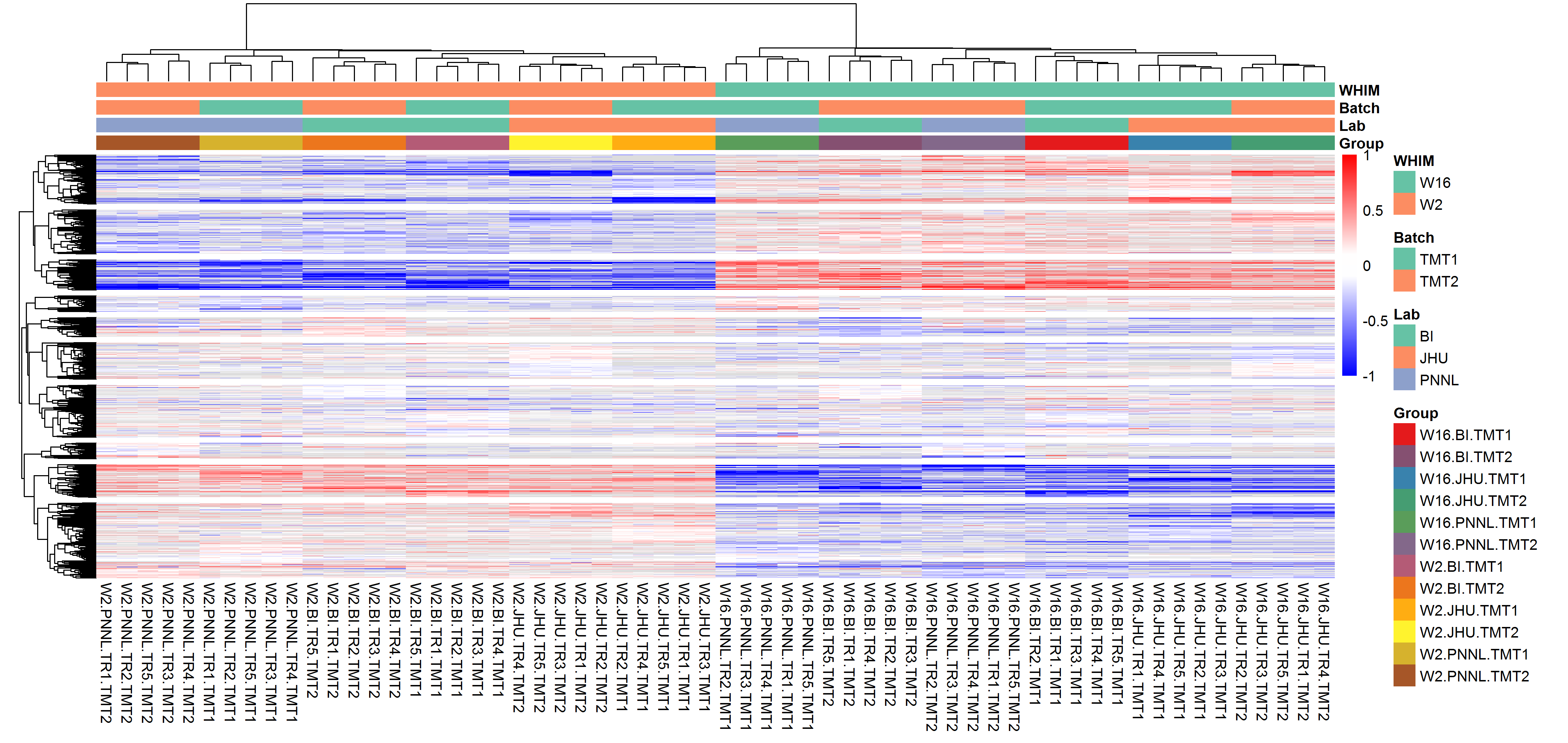 **Figure 6A.** Heat map visualization of protein log2FC