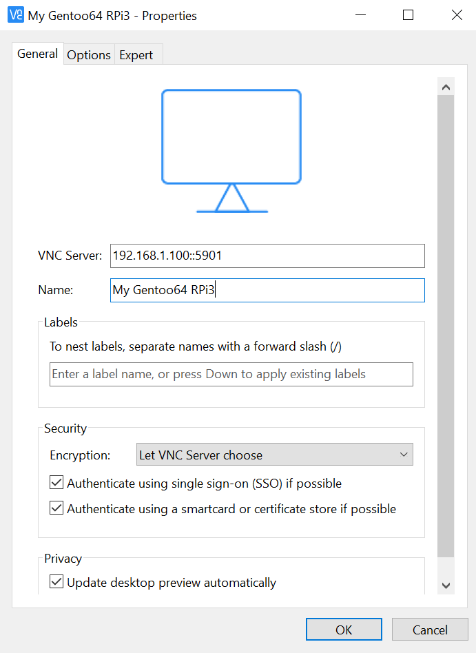 Specifying connection parameters to a RealVNC client on Windows