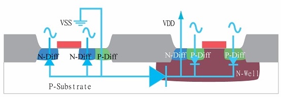 Cross section view step 6