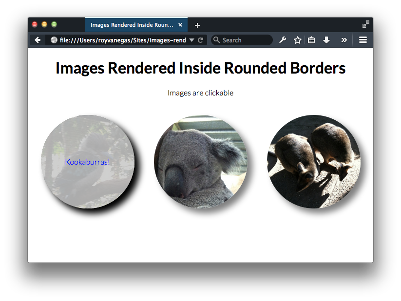 Example of images rendered inside circles using borders