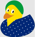 Brazil Duck