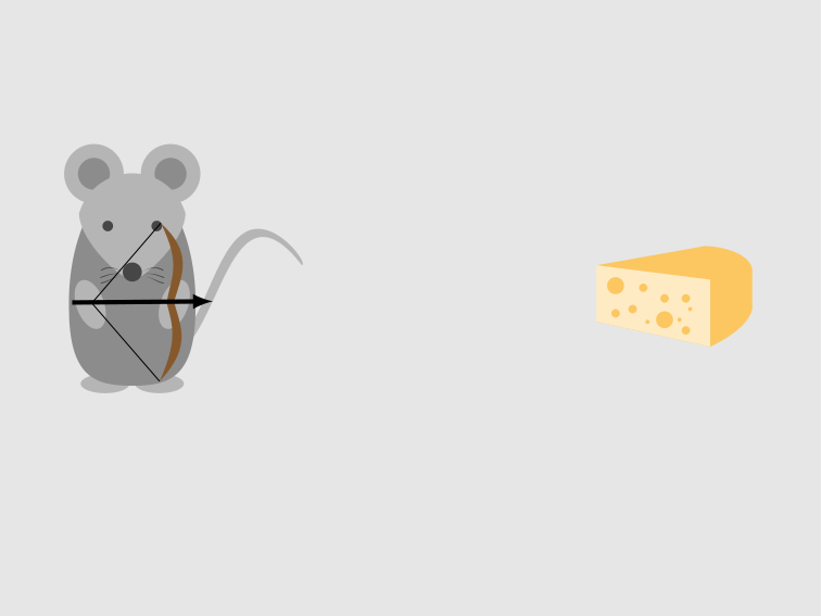 Rodent Hood